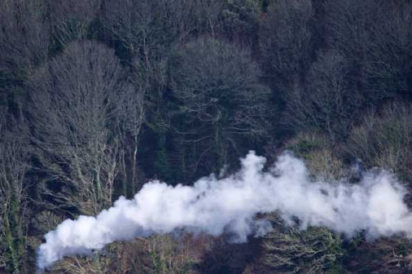 22 February 2021 - 12-27-43
A sign of better things to come. With luck the steam railway will get to operate a more normal timetable this summer.
Meanwhile test runs continue. No engine, but an adequate snap.
-----------------------
Steamtrain at Hoodown Woods.